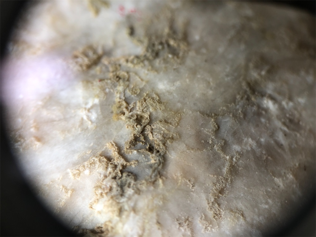 f:id:bluesoyaji:20200416145513j:image