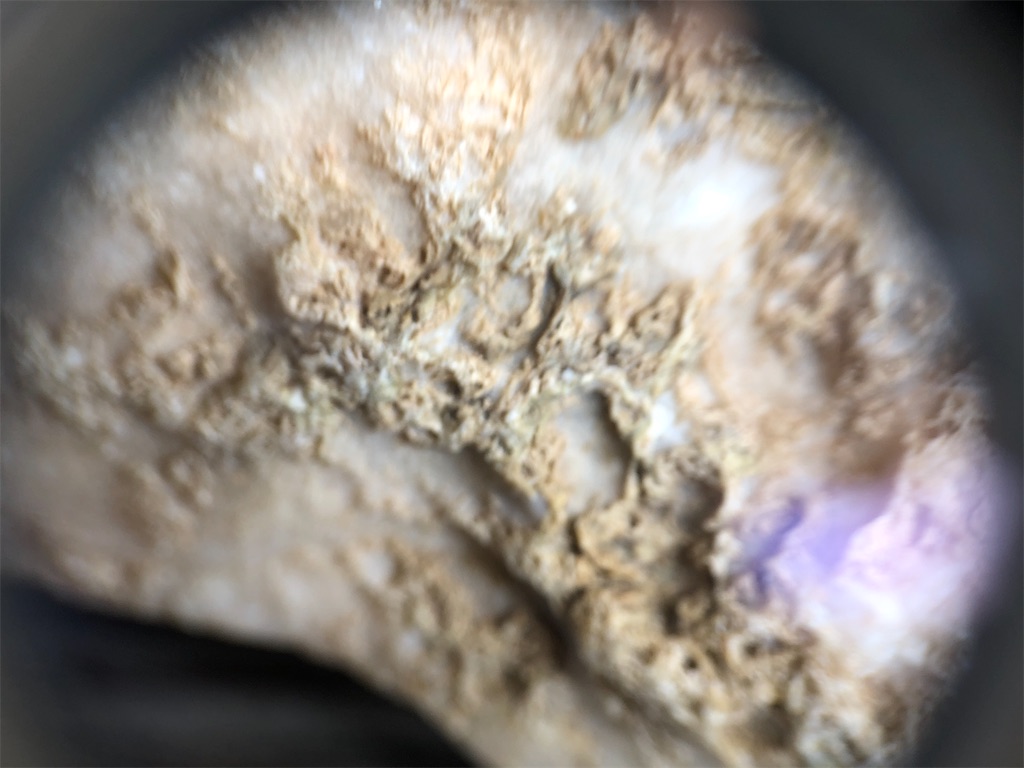 f:id:bluesoyaji:20200416150133j:image