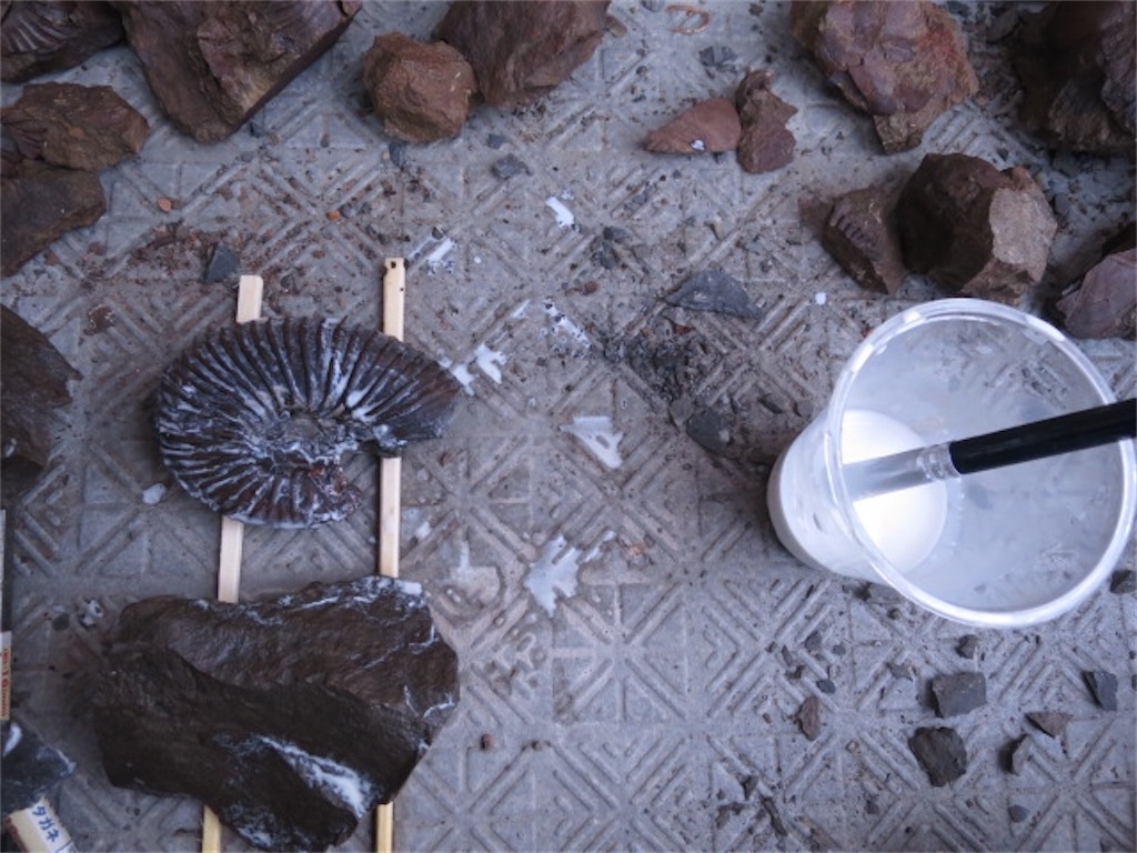 f:id:bluesoyaji:20200507182517j:image