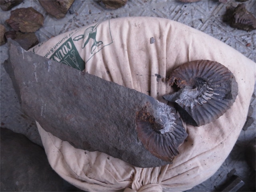 f:id:bluesoyaji:20200507182521j:image