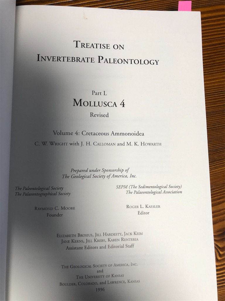 f:id:bluesoyaji:20200507182604j:image