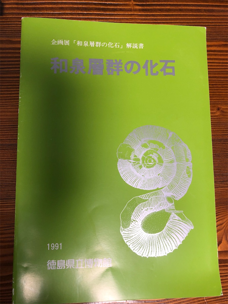 f:id:bluesoyaji:20200607111231j:image