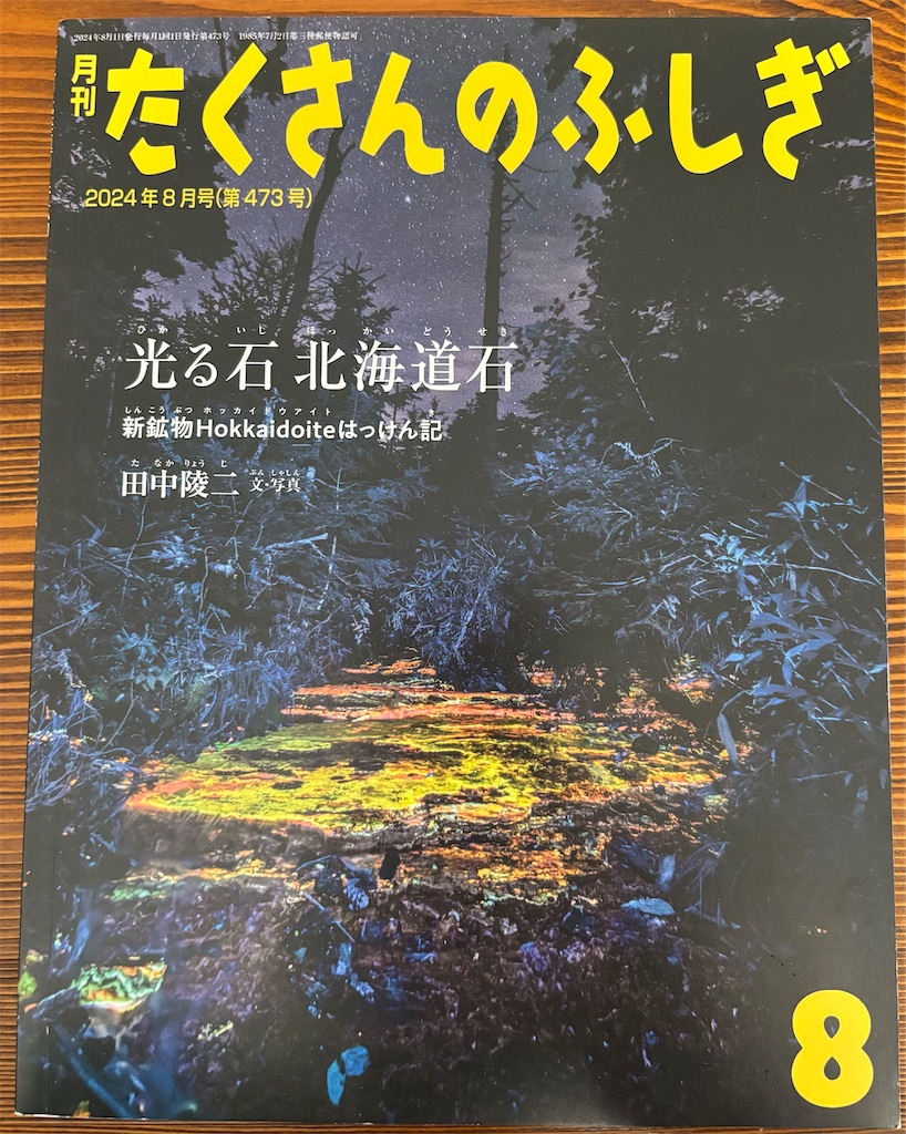 f:id:bluesoyaji:20250817100635j:image