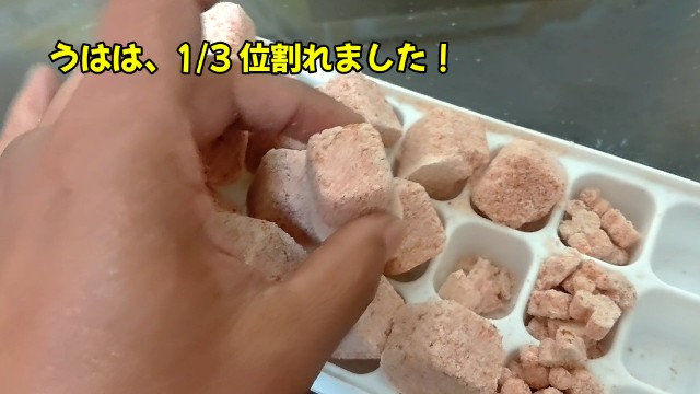 f:id:bluestakashi:20220509121407j:image