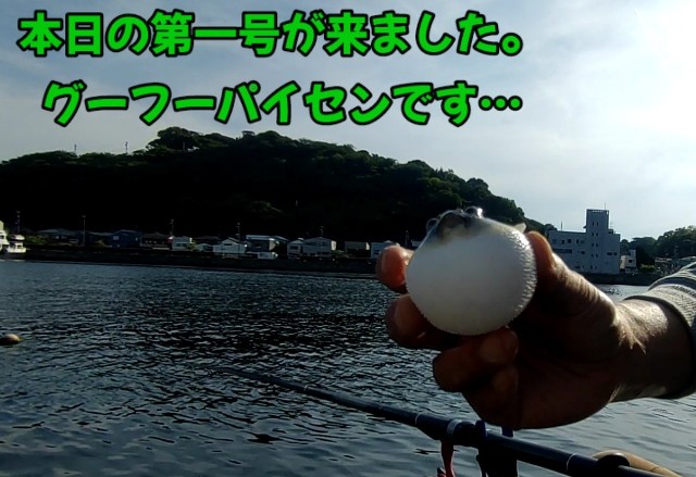 f:id:bluestakashi:20220514130337j:image