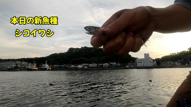 f:id:bluestakashi:20220514130543j:image