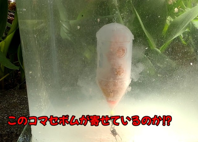 f:id:bluestakashi:20220514132259j:image