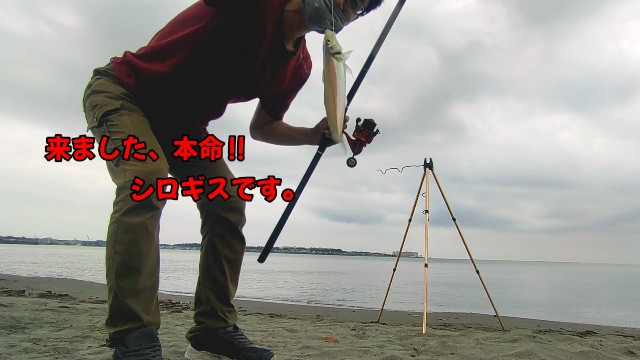 f:id:bluestakashi:20220603115800j:image