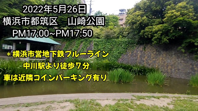 f:id:bluestakashi:20220606083359j:image