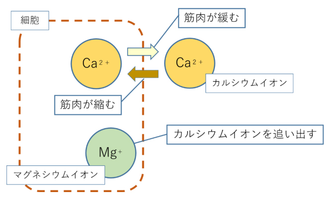 f:id:bluesteps:20210911122426j:plain