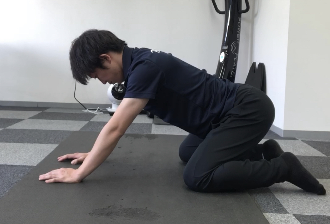 f:id:bluesteps:20211101154932j:plain