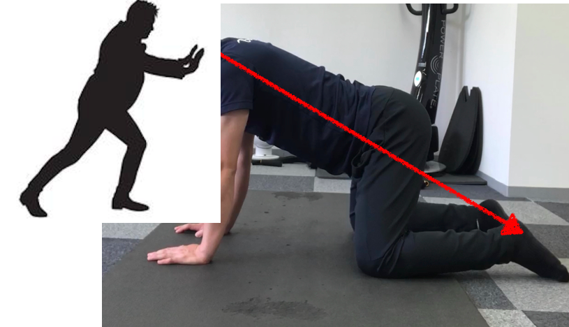 f:id:bluesteps:20211101161309p:plain