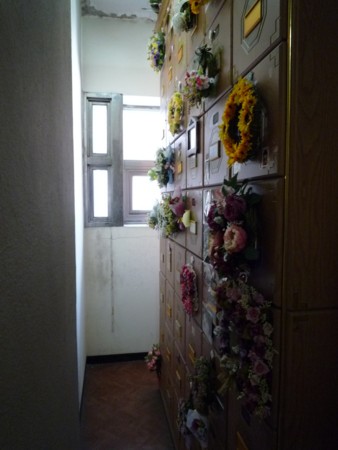 f:id:bluetears_osaka:20100123120301j:image