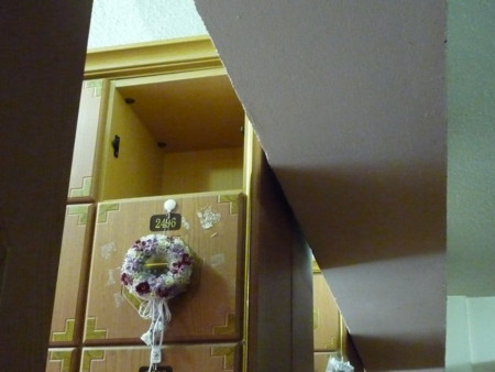 f:id:bluetears_osaka:20100123120420j:image