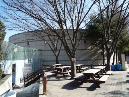 f:id:bluetears_osaka:20100123124945j:image