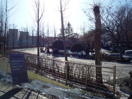 f:id:bluetears_osaka:20100123130731j:image