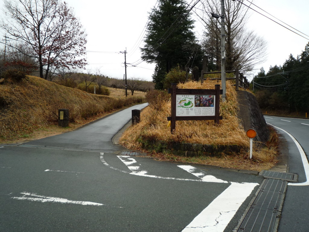 f:id:bluetears_osaka:20110321133546j:plain f:id:bluetears_osaka:20110321133546j:plain