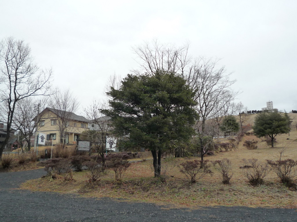 f:id:bluetears_osaka:20110321134452j:plain f:id:bluetears_osaka:20110321134452j:plain