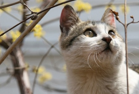 f:id:bluetears_osaka:20111130160116j:image