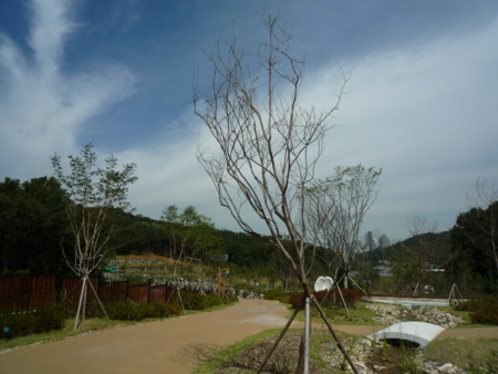 f:id:bluetears_osaka:20120911114509j:image f:id:bluetears_osaka:20120911114509j:image