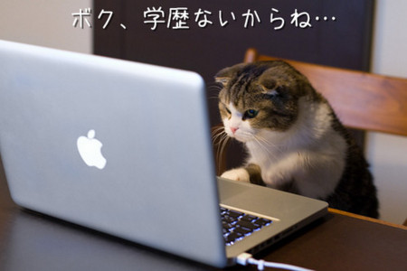 f:id:bluetears_osaka:20130719084007j:image