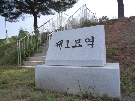 f:id:bluetears_osaka:20130918114249j:image