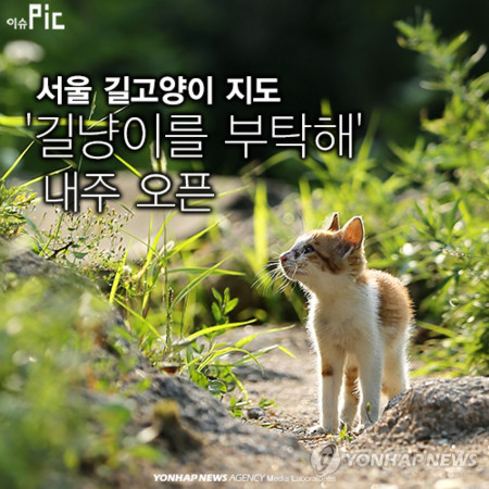 f:id:bluetears_osaka:20141022093012j:image