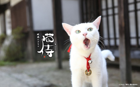 f:id:bluetears_osaka:20141028151745j:image