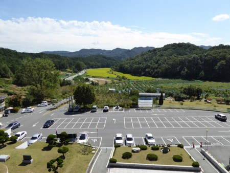 f:id:bluetears_osaka:20150917101706j:image