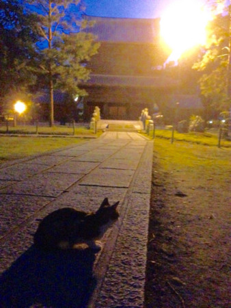 f:id:bluetears_osaka:20150923214523j:image