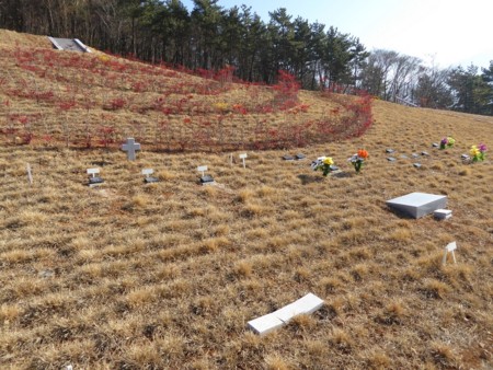 f:id:bluetears_osaka:20151230091614j:image f:id:bluetears_osaka:20151230091614j:image