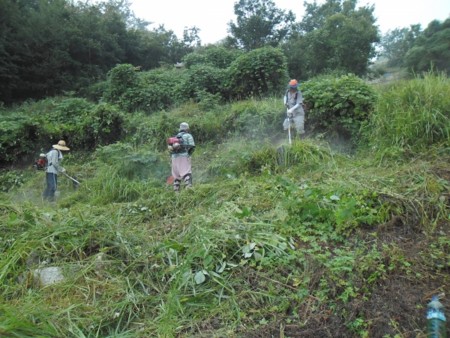 f:id:bluetears_osaka:20160111120338j:image f:id:bluetears_osaka:20160111120338j:image