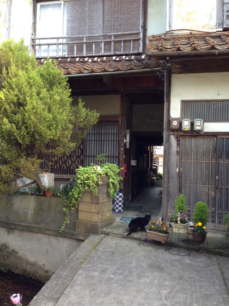 f:id:bluetears_osaka:20160514165059j:plain