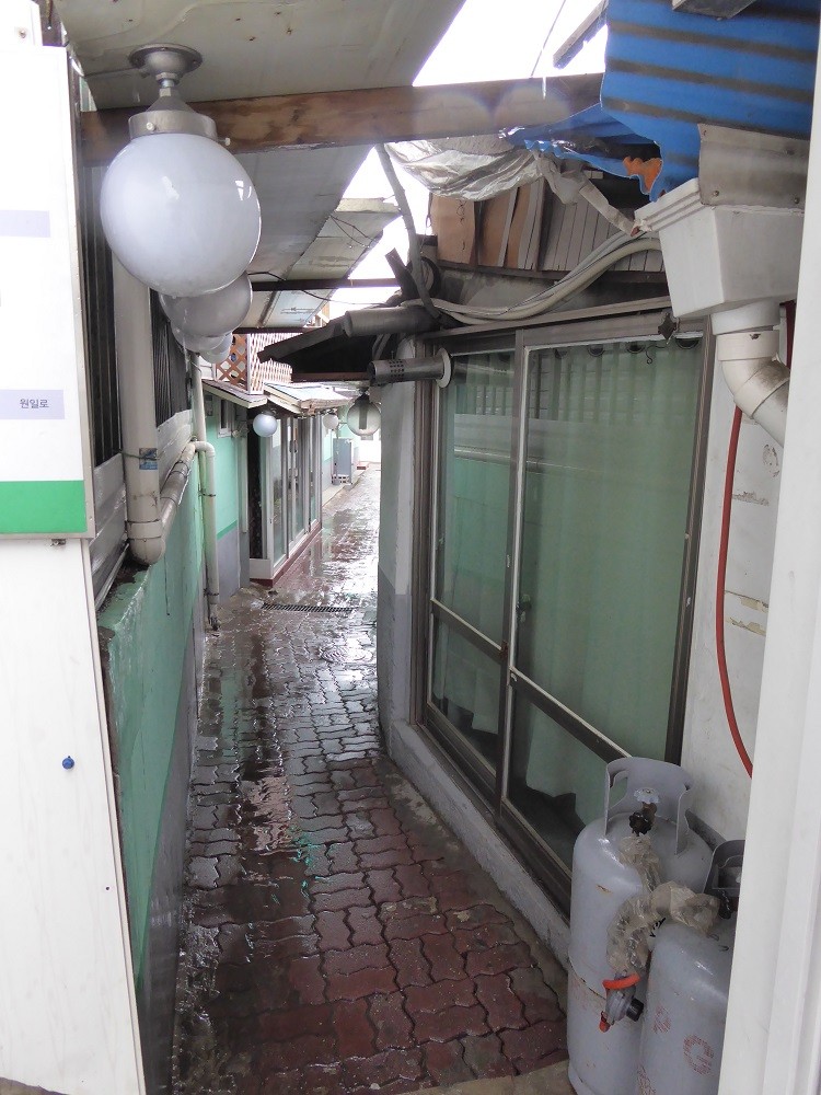 f:id:bluetears_osaka:20160524104344j:plain f:id:bluetears_osaka:20160524104344j:plain