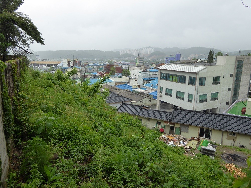 f:id:bluetears_osaka:20160524104728j:plain f:id:bluetears_osaka:20160524104728j:plain