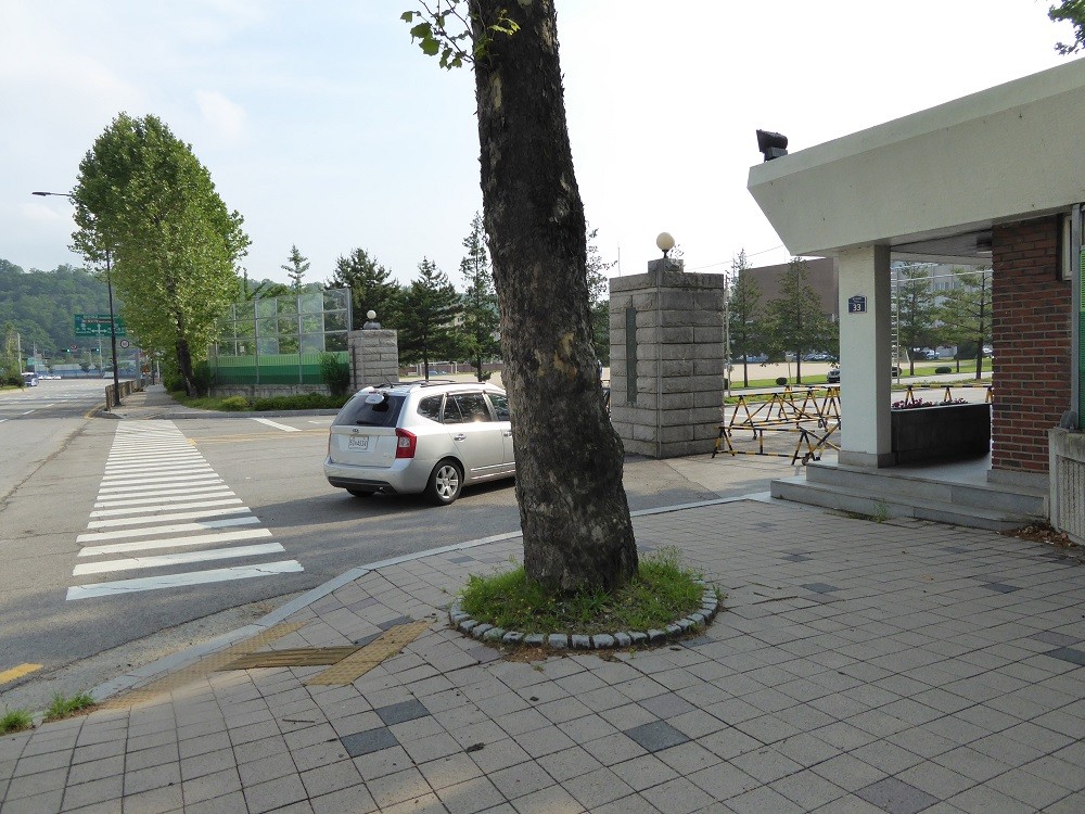 f:id:bluetears_osaka:20160524164121j:plain f:id:bluetears_osaka:20160524164121j:plain