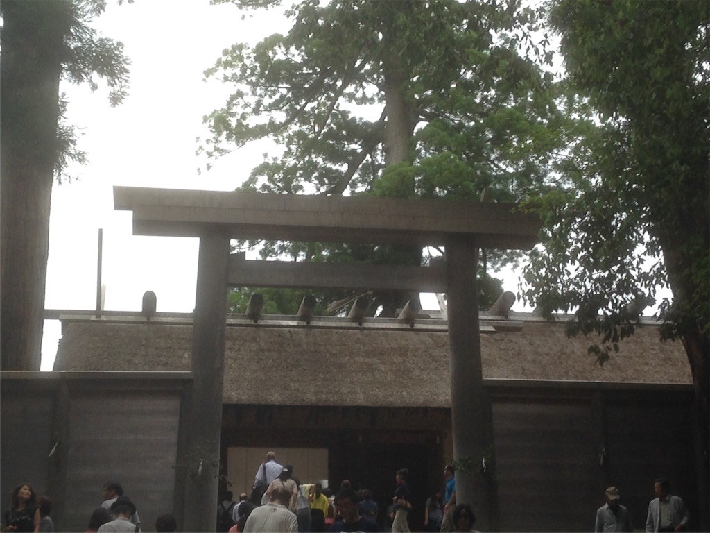 f:id:bluetears_osaka:20160624192255j:image