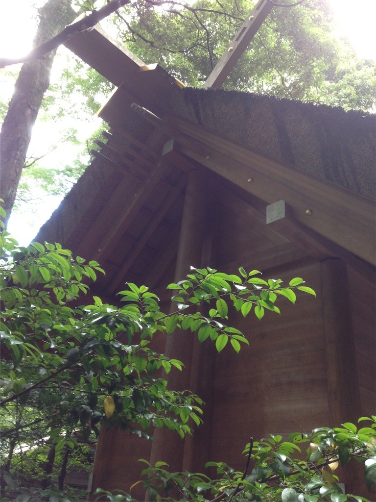 f:id:bluetears_osaka:20160624192315j:image