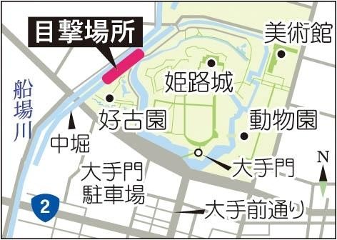 f:id:bluetears_osaka:20160728094536j:plain f:id:bluetears_osaka:20160728094536j:plain