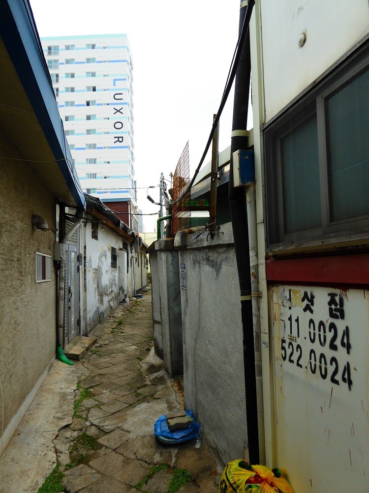 f:id:bluetears_osaka:20160915120721j:plain