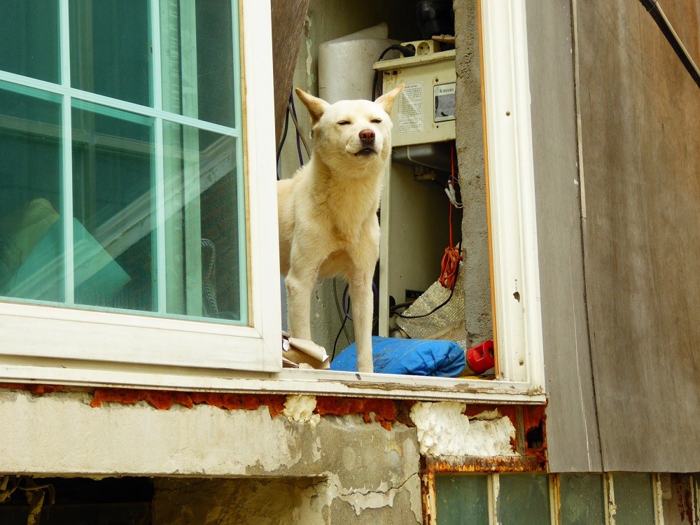 f:id:bluetears_osaka:20160915120810j:plain