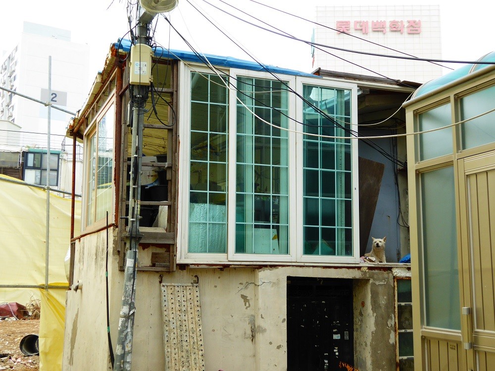 f:id:bluetears_osaka:20160915120947j:plain