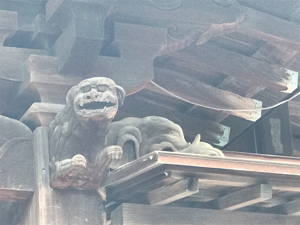 f:id:bluetears_osaka:20161214224154j:image f:id:bluetears_osaka:20161214224154j:image