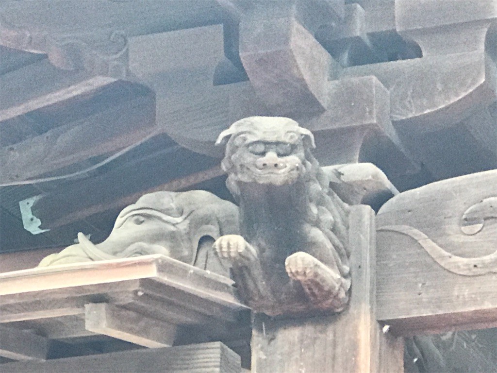 f:id:bluetears_osaka:20161214224210j:image f:id:bluetears_osaka:20161214224210j:image