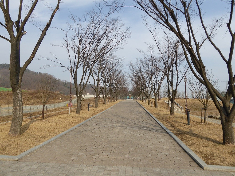 f:id:bluetears_osaka:20170101121359j:plain