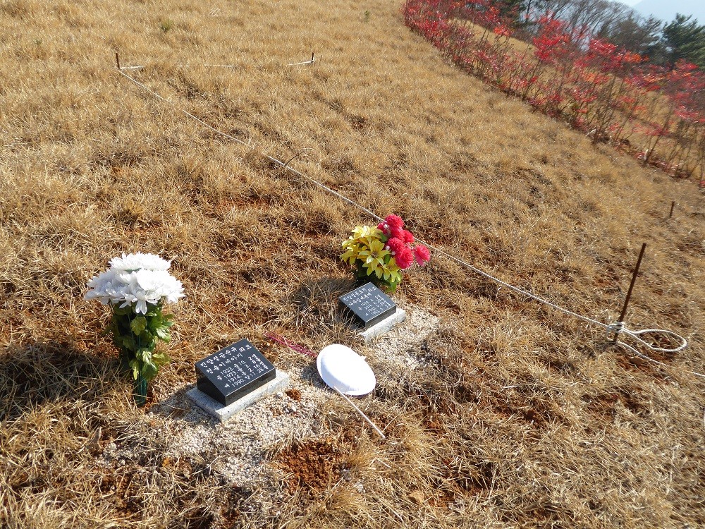 f:id:bluetears_osaka:20170102121055j:plain f:id:bluetears_osaka:20170102121055j:plain