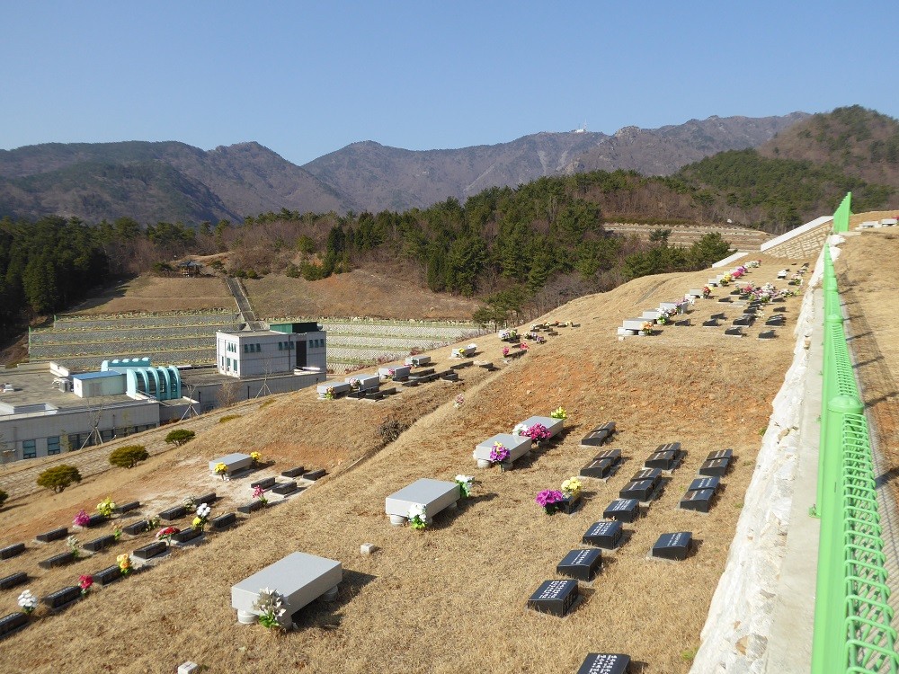 f:id:bluetears_osaka:20170102121321j:plain f:id:bluetears_osaka:20170102121321j:plain