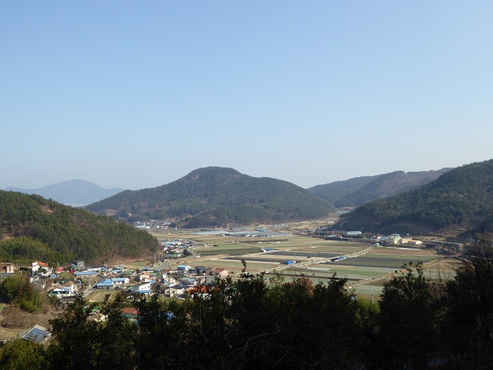 f:id:bluetears_osaka:20170102131326j:plain f:id:bluetears_osaka:20170102131326j:plain