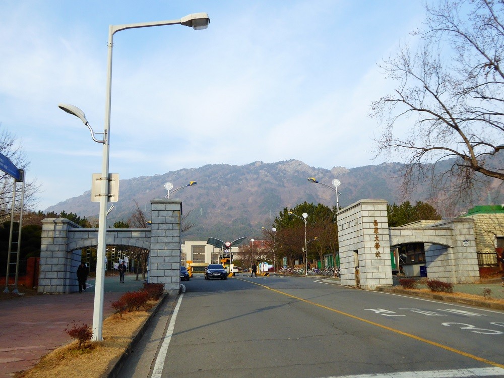 f:id:bluetears_osaka:20170104152449j:plain