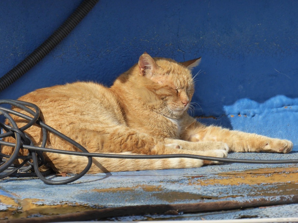 f:id:bluetears_osaka:20170106120539j:plain f:id:bluetears_osaka:20170106120539j:plain